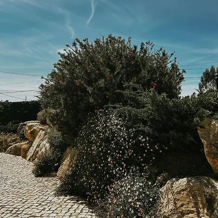 Refugio Da Rainha Frühstückspension Moledo (Lisbon)