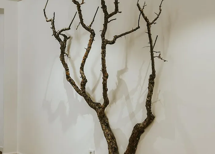 Refugio Da Rainha Bed & Breakfast Moledo (Lisbon)